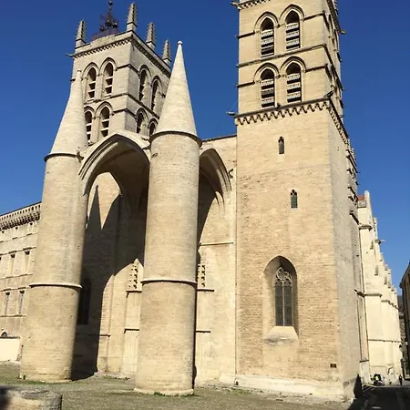 Duplex With Cathedral View Appartement *