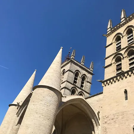 Duplex With Cathedral View * Montpellier