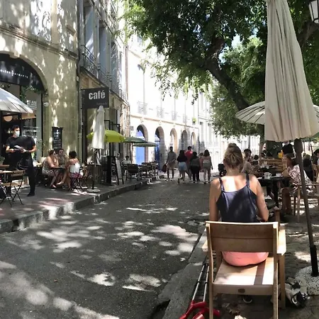 Duplex With Cathedral View מונפלייה