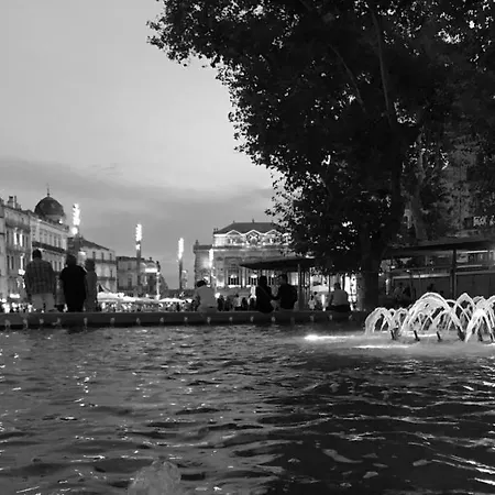 דירה Duplex With Cathedral View מונפלייה